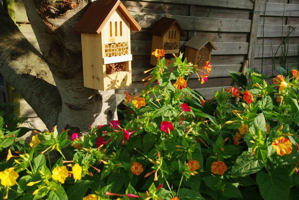 Bed and Breakfast O'Maxethel Soullans Экстерьер фото